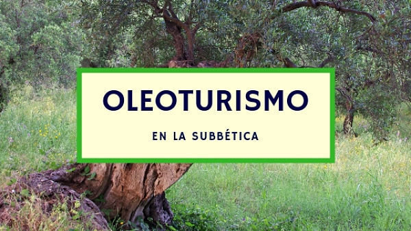 oleoturismo en la subbetica_opt