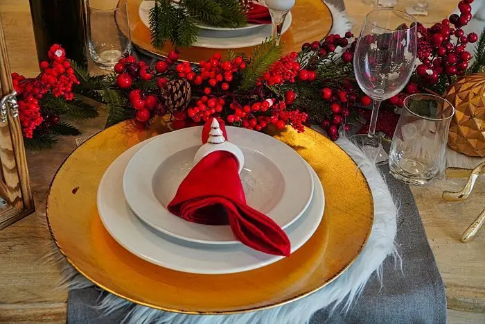 christmas-dinner-g93f93ec21_1920_opt