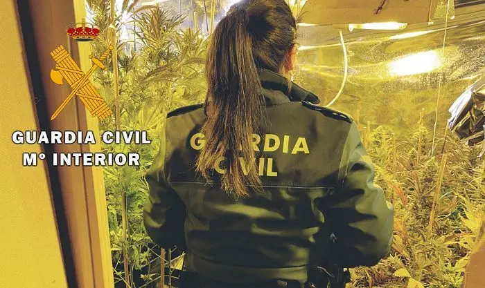 MARIHUANA LA CARLOTA 1_opt