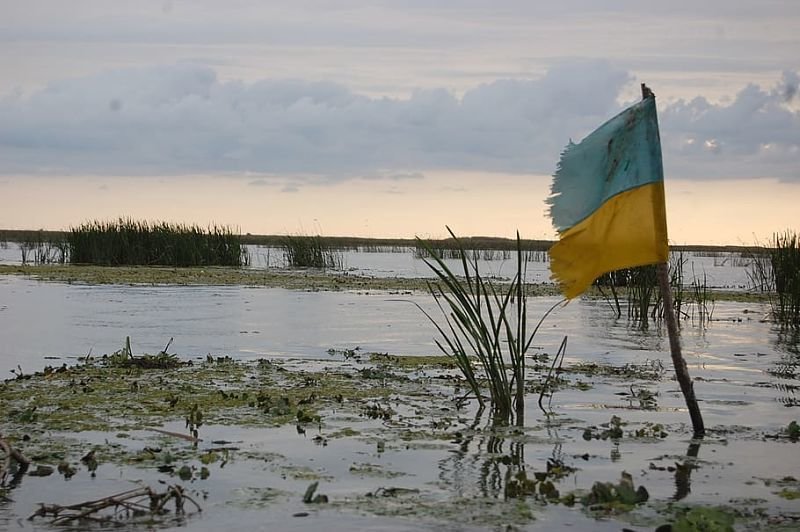 flag-ukraine-swamp-danube-ukrainian-ukrainian-flag_opt