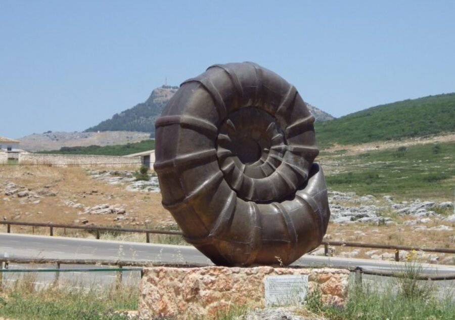 fig.1.-ammonite-santa-rita.-Alicia-S.B.-768x540 (1)