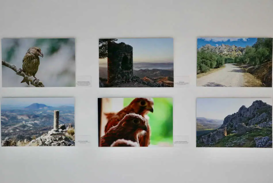 231130 Exposici&oacute;n Naturaleza nuestra (3) (1)