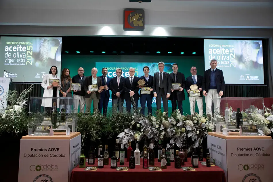 FOTO_Entrega-Premios-AOVE_47-scaled (1)