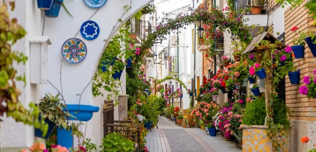 callesdelasflores1