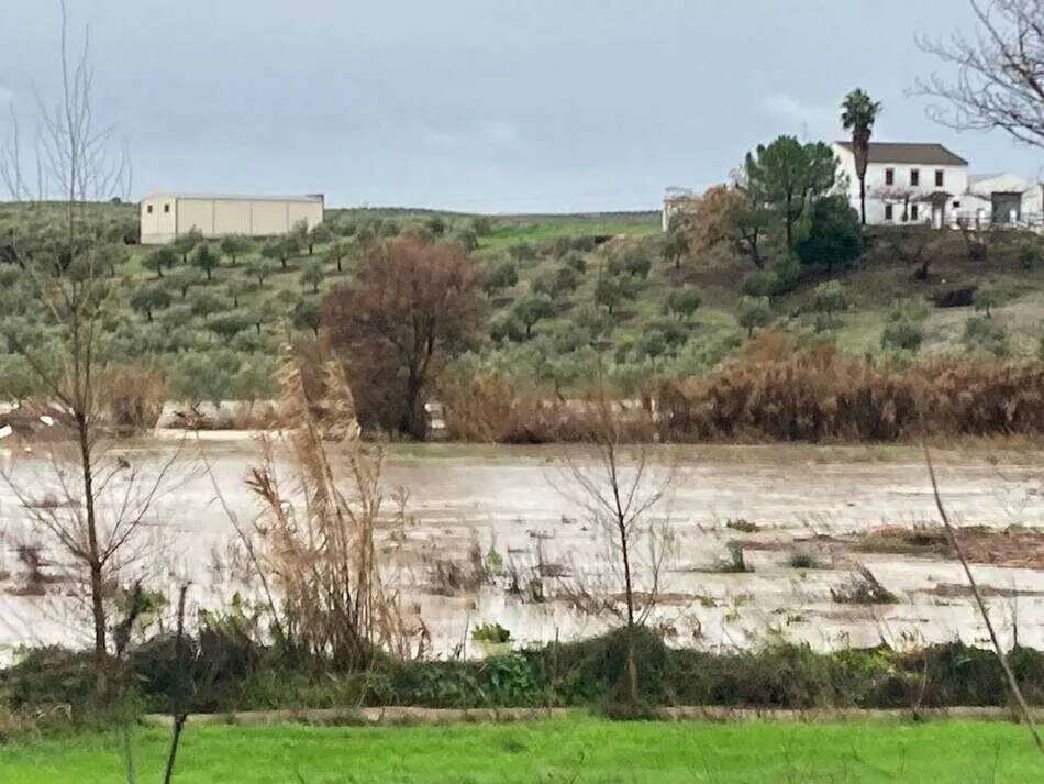 Desbordamiento del R&iacute;o Cabra a su paso por Huertas Bajas_(04-02-2026) (1)