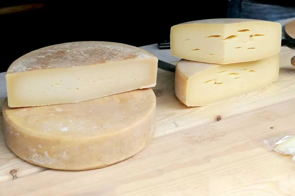 moritz320-cheese-3658141_1280 (1)