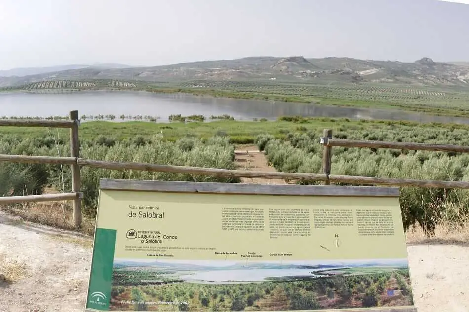 240926_Laguna C&oacute;rdoba 3.jpg (1)