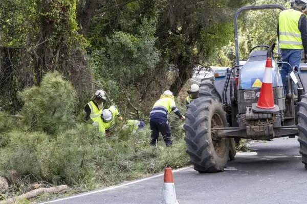 FOTO_-InformaciOn-sobre-tareas-de-mantenimiento-y-desbroce-en-carreteras-de-la-sierra-de-COrdoba_1-1-wpcf_600x400