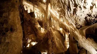 cueva-murci&eacute;lagos_opt