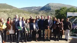 MA_SUBB&Eacute;TICA_9 MAR_opt