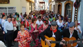 patron-pedro-martir