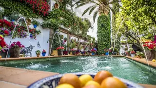 patio-con-duende