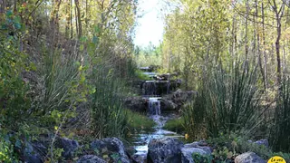 jardin