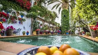 concurso-de-patios-de-la-subbetica-2018-1080x675