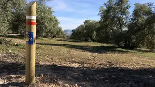 2018012412020615837
