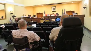 Representantes de AMFE y Cota Cero ante el Pleno_opt