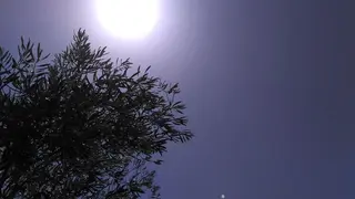 2018073008351172977