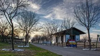 via-verde-del-aceite_opt
