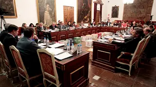 fotoplenoordinario20feberro201916_opt