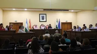 Pleno extraordinario 22 de mayo_opt