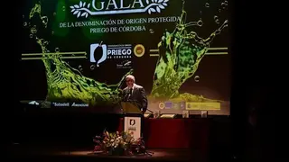 imagen art&iacute;culo de La Voz de la Subb&eacute;tica_opt
