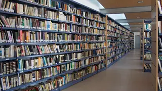 R0856_opt