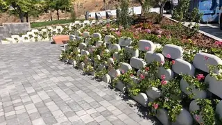 65770753_2403562386372129_1460228798342496256_n_opt