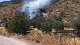 Incendio-Vichena_opt