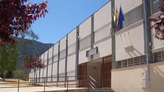 do&ntilde;a_opt