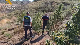 MARIHUANA MONTORO (2)_opt