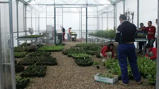 DCF 1.0