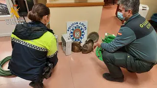 AGRUPACI&Oacute;N COFRADIAS1_opt