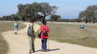 FOTO-Camino-Mozarabe_Etapas-desde-Cordoba-Capital-Hinojosa-3_opt