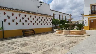 20210429_144329_opt