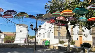 244641124_2469426789868172_7095705338893534156_n_opt