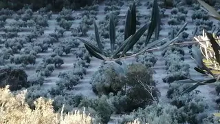 2021011218461373239