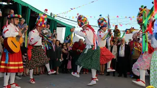 2018051608351210229