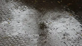 2023022318175619532
