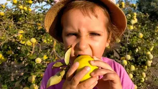 391715146_732783318882879_1942991314334962255_n (1)