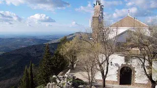 2018060409033537161