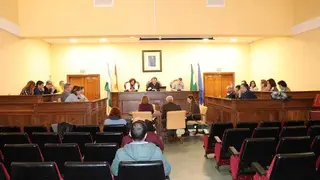 Pleno (1)