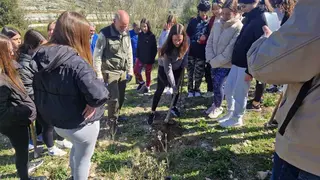 SOSTE_Reforestacion_Santa Rita_01 (1)