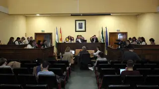 240320-PLENO-AYUNTAMIENTO-14-980x653 (1)