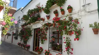 1o-PREMIO-REJAS-scaled (1)