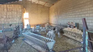 20240708_102822 (1)