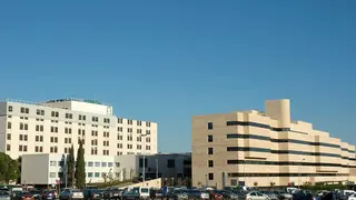 1546618583045SAL Hospital Reina Sofia Cordoba Estandar