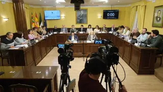 Pleno-ordinario-mes-de-octubre_28-10-2024_1-1536x1024 (1)