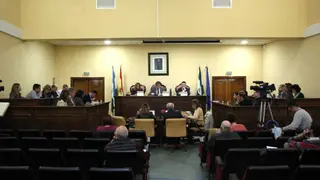 Pleno-noviembre-2024-980x653
