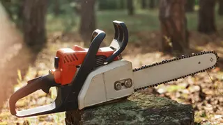 Outdoor closeup shot of chainsaw on stump in wood, professional equipment for cutting wood, deforestation, logging, special tool for working with forestry.