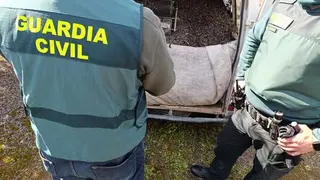 ACEITUNA MONTILLA (1) (1)
